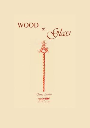 Cover of the book Wood to Glass by Scott R. Larson