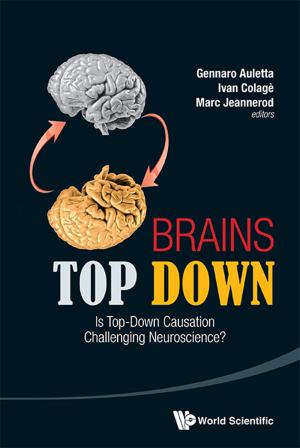 Cover of the book Brains Top Down by Shihong Qin, Xiaolong Li