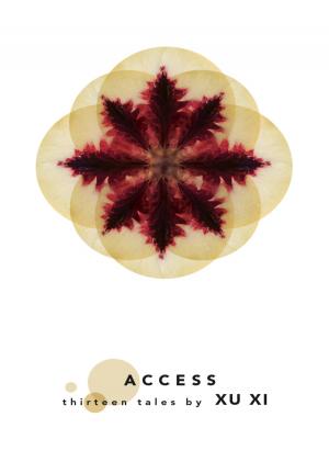 Cover of Access: Thirteen Tales