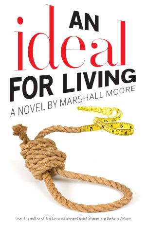 Cover of the book An Ideal for Living by Neal Drinnan