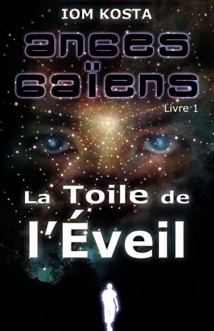 Cover of Anges Gaiens, livre 1 : La Toile de l'Eveil
