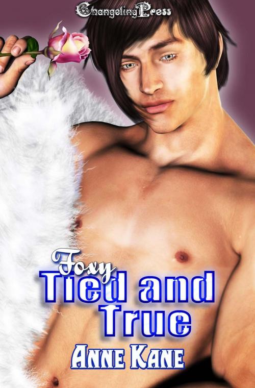 Cover of the book Tied and True (Foxy) by Anne Kane, Changeling Press LLC
