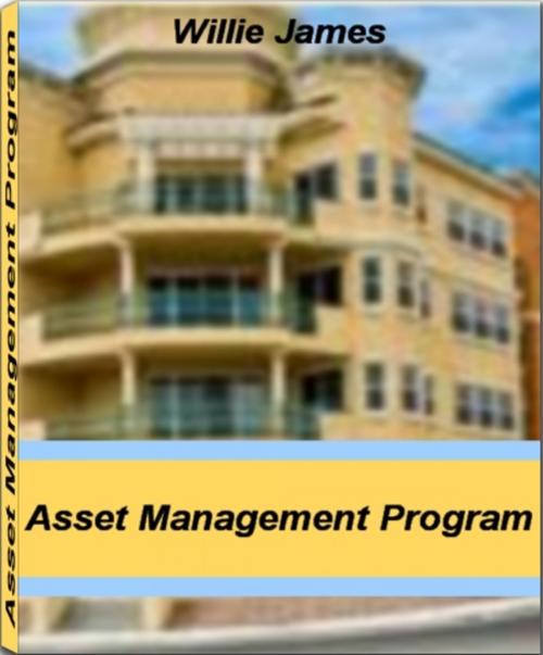Cover of the book Asset Management Program by Willie James, Tru Divine Publishing