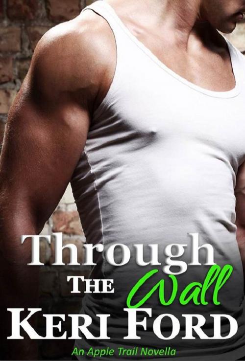 Cover of the book Through The Wall by Keri Ford, Keri Ford