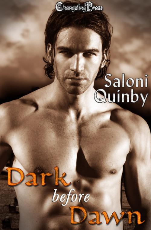 Cover of the book Dark Before Dawn by Saloni Quinby, Changeling Press LLC