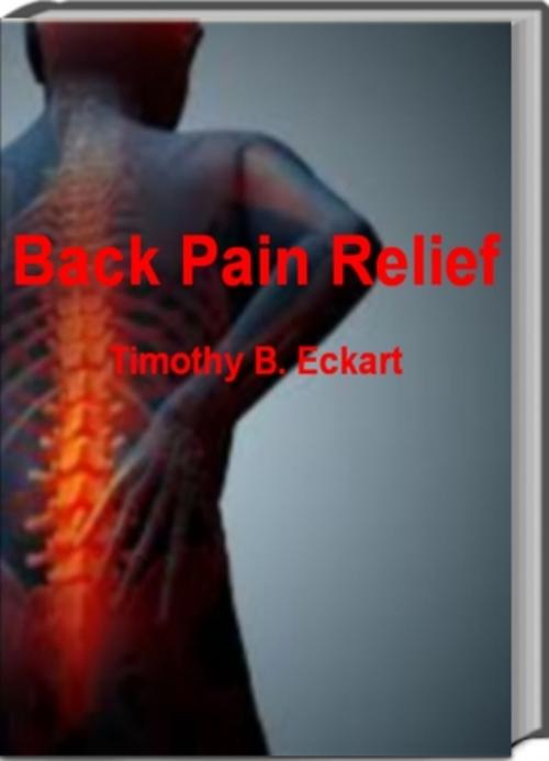 Cover of the book Back Pain Relief by Timothy B. Eckart, Tru Divine Publishing