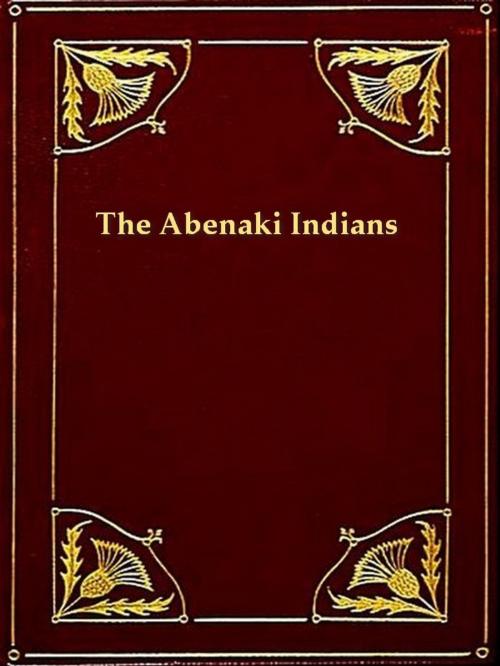 Cover of the book The Abenaki Indians; Their Treaties of 1713 & 1717, and a Vocabulary by Frederic Kidder, VolumesOfValue