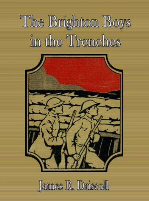 Cover of the book The Brighton Boys in the Trenches by James R. Driscoll, cbook