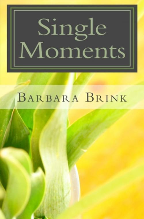 Cover of the book Single Moments by Barbara Brink, Barbara Smith