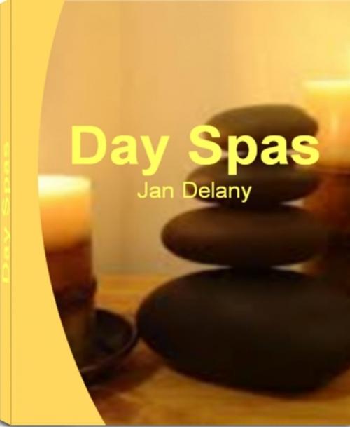 Cover of the book Day Spas by Jan Delany, Tru Divine Publishing