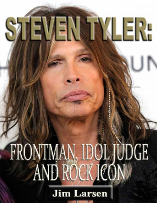 Cover of the book Steven Tyler: Frontman, Idol Judge and Rock Icon by Jim Larsen, P Maldonado