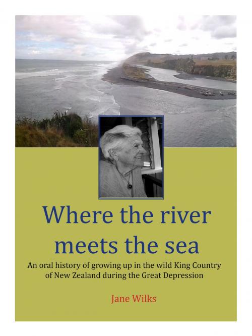 Cover of the book Where the river meets the sea by Jane Wilks, Jane Wilks