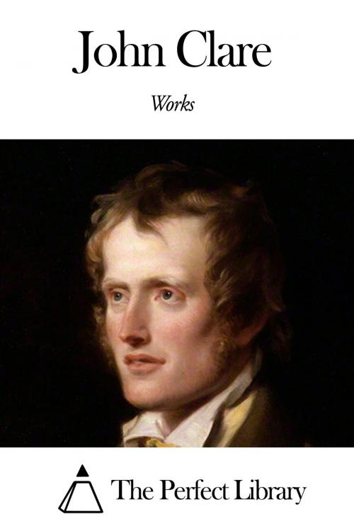 Cover of the book Works of John Clare by John Clare, The Perfect Library