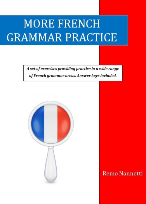 Cover of the book More French Grammar Practice by Remo Nannetti, Remo Nannetti