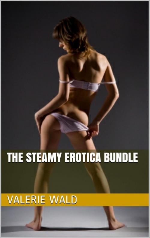 Cover of the book The Steamy Erotica Bundle by Valerie Wald, Angela Gray, Vicki Sex, Steam Publishing