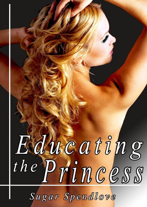 Cover of the book Educating the Princess by Sugar Spendlove, Sugar Spendlove