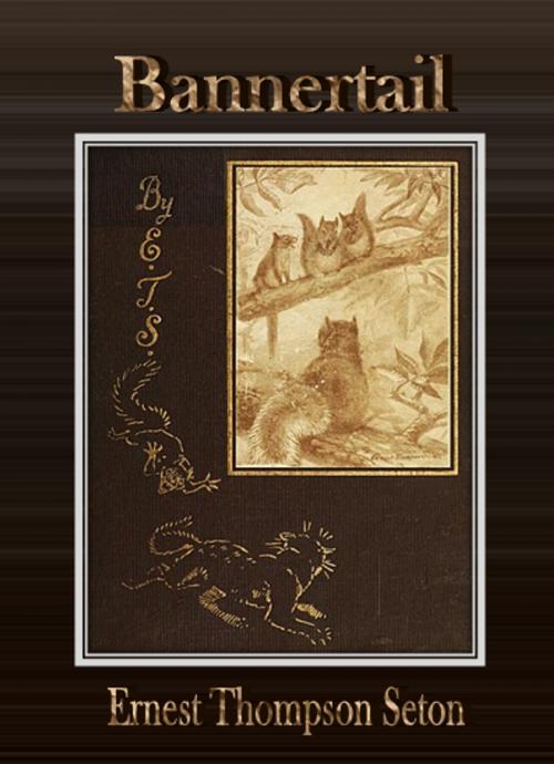 Cover of the book Bannertail by Ernest Thompson Seton, cbook