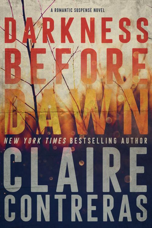 Cover of the book Darkness Before Dawn by Claire Contreras, Claire Contreras