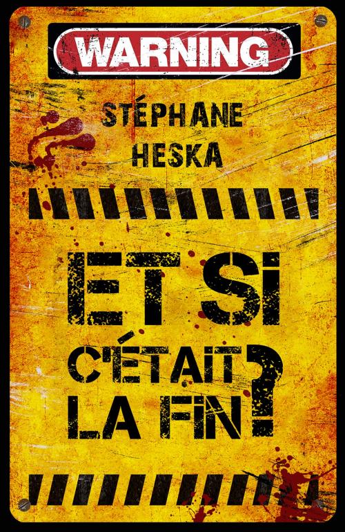 Cover of the book Et si c'était la fin ? by Stéphane Heska, Editions Seconde Chance