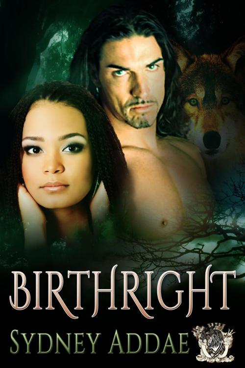 Cover of the book BirthRight by Sydney Addae, Sitting Bull Publications, LLC