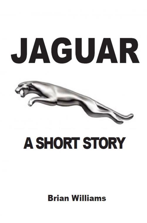 Cover of the book Jaguar by Brian Williams, Prodinnova