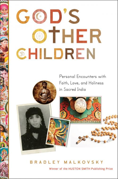 Cover of the book God's Other Children by Bradley Malkovsky, HarperOne