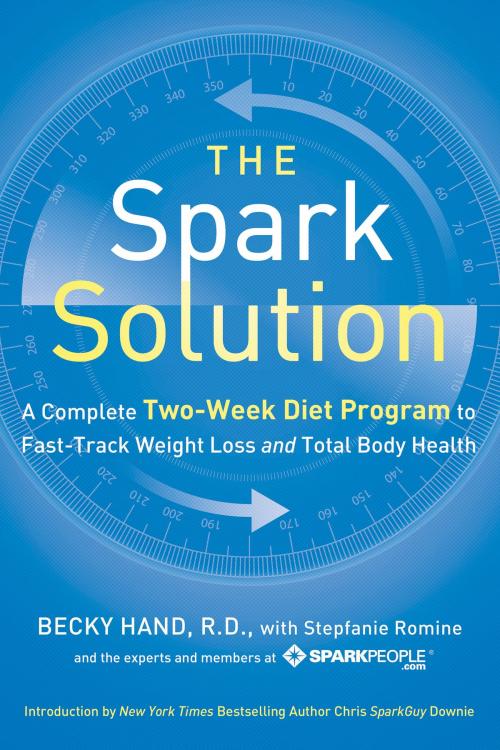 Cover of the book The Spark Solution by Becky Hand, Stepfanie Romine, HarperOne
