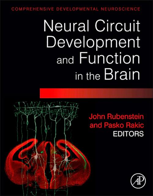 Cover of the book Neural Circuit Development and Function in the Healthy and Diseased Brain by John Rubenstein, Pasko Rakic, Elsevier Science