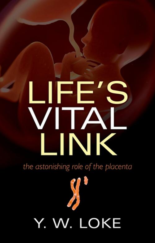 Cover of the book Life's Vital Link by Y. W. Loke, OUP Oxford