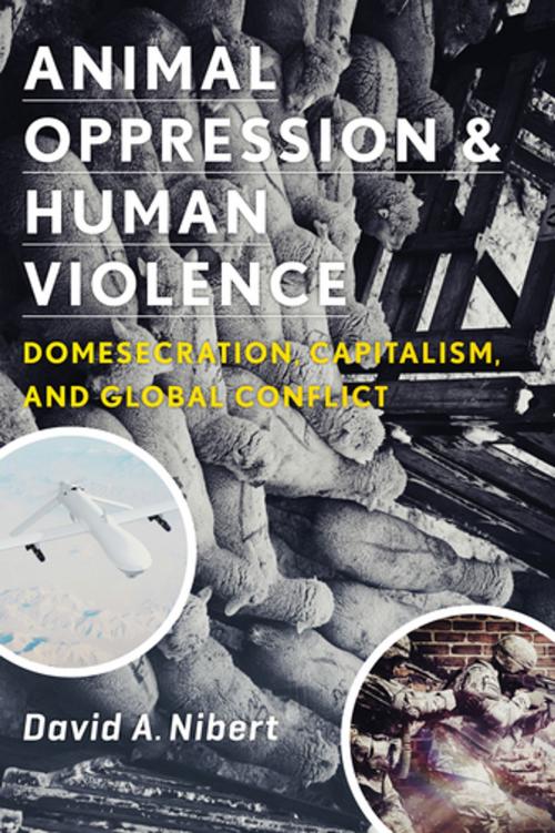 Cover of the book Animal Oppression and Human Violence by David Nibert, Columbia University Press