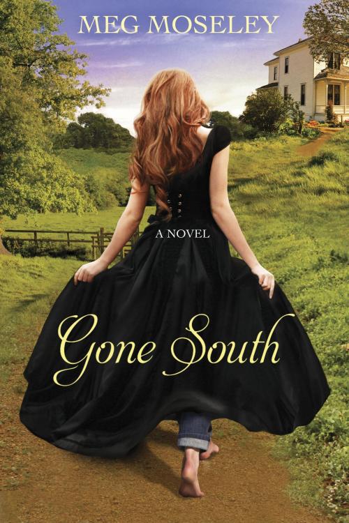 Cover of the book Gone South by Meg Moseley, The Crown Publishing Group