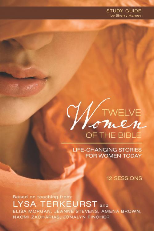 Cover of the book Twelve Women of the Bible Study Guide by Lysa TerKeurst, Elisa Morgan, Amena Brown, Jonalyn Grace Fincher, Jeanne Stevens, Naomi Zacharias, Zondervan