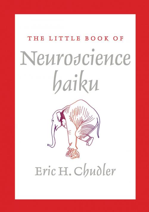 Cover of the book The Little Book of Neuroscience Haiku by Eric Chudler, W. W. Norton & Company