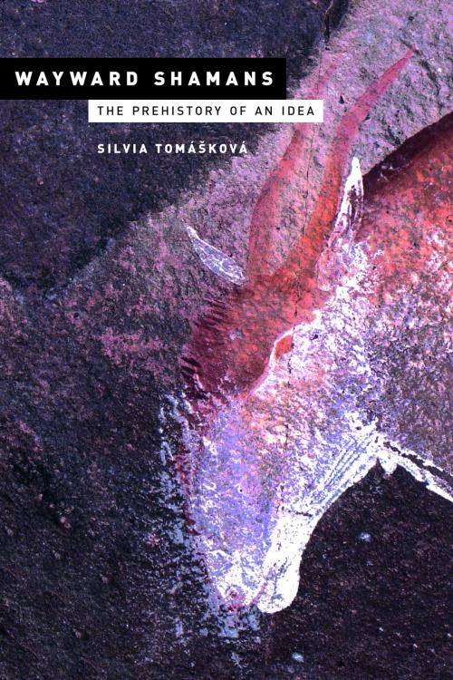 Cover of the book Wayward Shamans by Silvia Tomášková, University of California Press