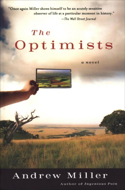 Cover of the book The Optimists by Andrew Miller, Houghton Mifflin Harcourt
