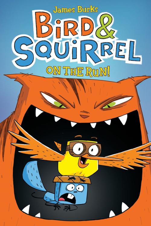 Cover of the book Bird & Squirrel On the Run (Bird & Squirrel #1) by James Burks, Scholastic Inc.