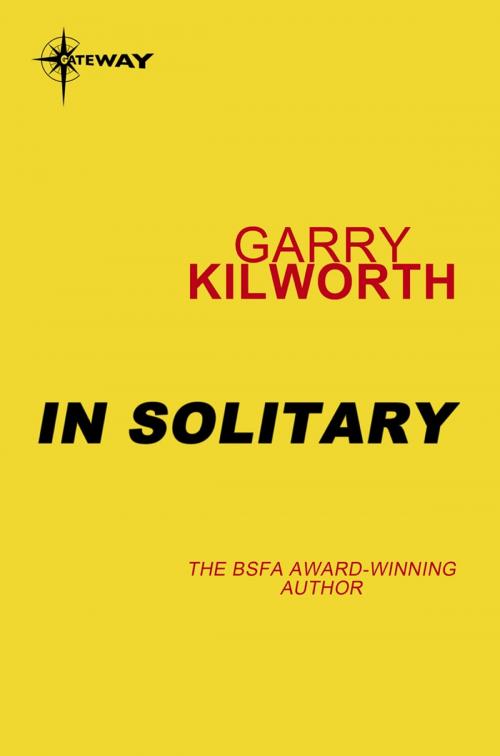 Cover of the book In Solitary by Garry Kilworth, Orion Publishing Group