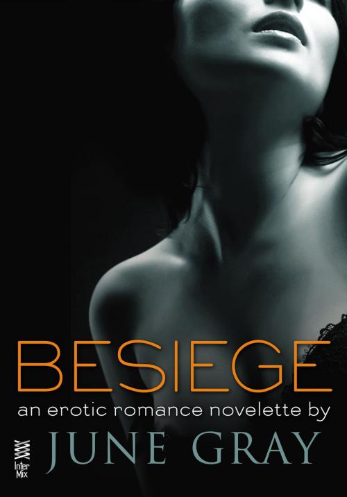 Cover of the book Besiege by June Gray, Penguin Publishing Group
