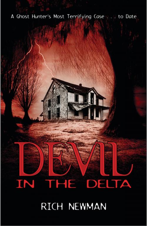 Cover of the book Devil in the Delta by Rich Newman, Llewellyn Worldwide, LTD.