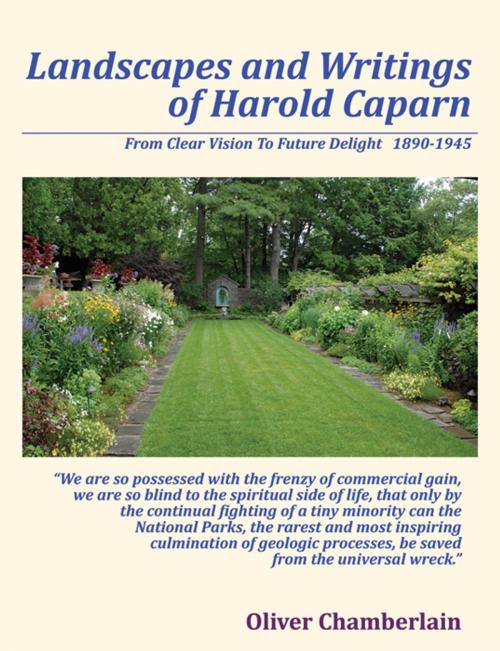 Cover of the book Landscapes and Writings of Harold Caparn by Oliver Chamberlain, Infinity Publishing