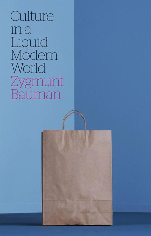 Cover of the book Culture in a Liquid Modern World by Zygmunt Bauman, Wiley