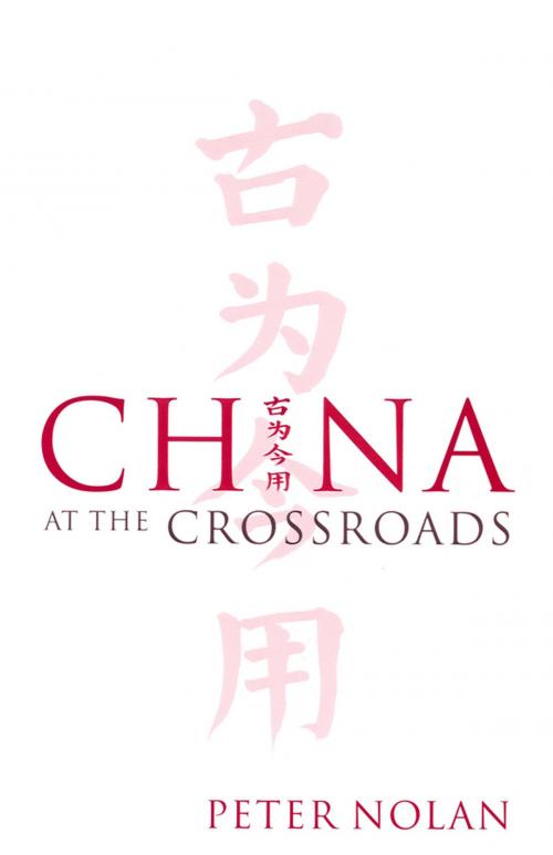 Cover of the book China at the Crossroads by Peter Nolan, Wiley