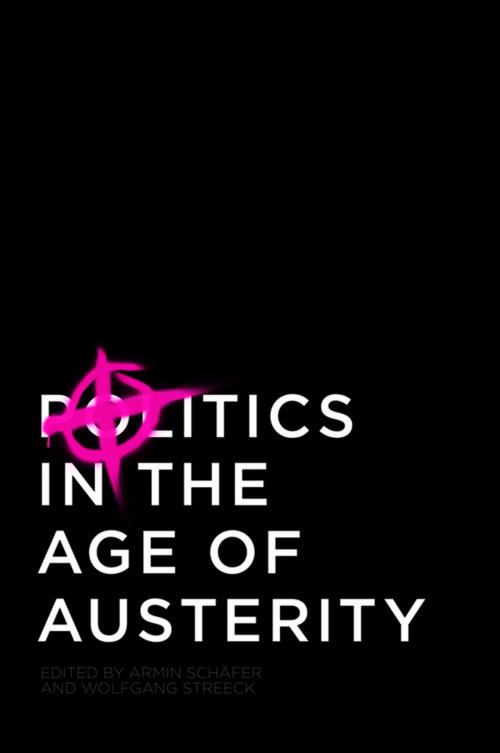 Cover of the book Politics in the Age of Austerity by , Wiley