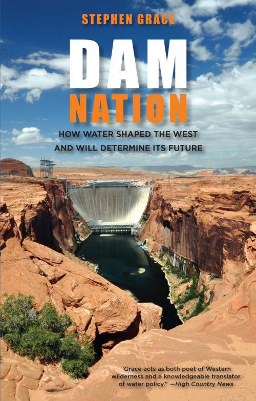 Cover of the book Dam Nation by Stephen Grace, Globe Pequot Press