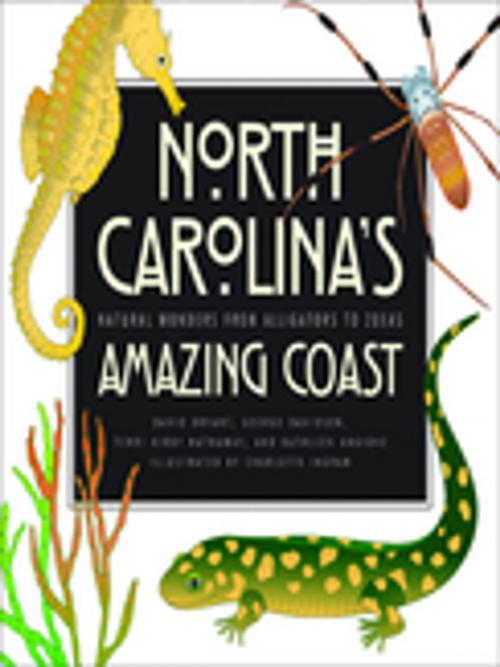 Cover of the book North Carolina's Amazing Coast by David Bryant, George Davidson, Kathleen Angione, Terri Kirby Hathaway, University of Georgia Press