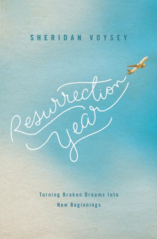 Cover of the book Resurrection Year by Sheridan Voysey, Thomas Nelson