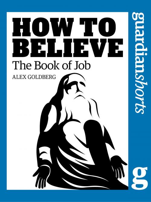 Cover of the book The Book of Job by Alexander Goldberg, Guardian Books