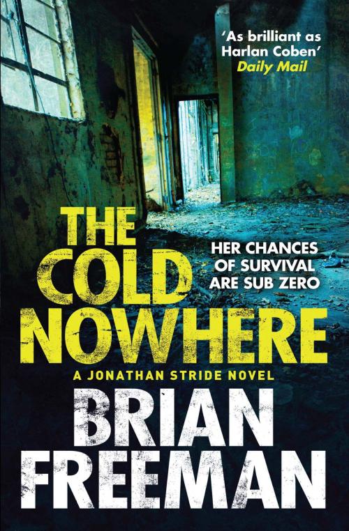 Cover of the book The Cold Nowhere by Brian Freeman, Quercus Publishing