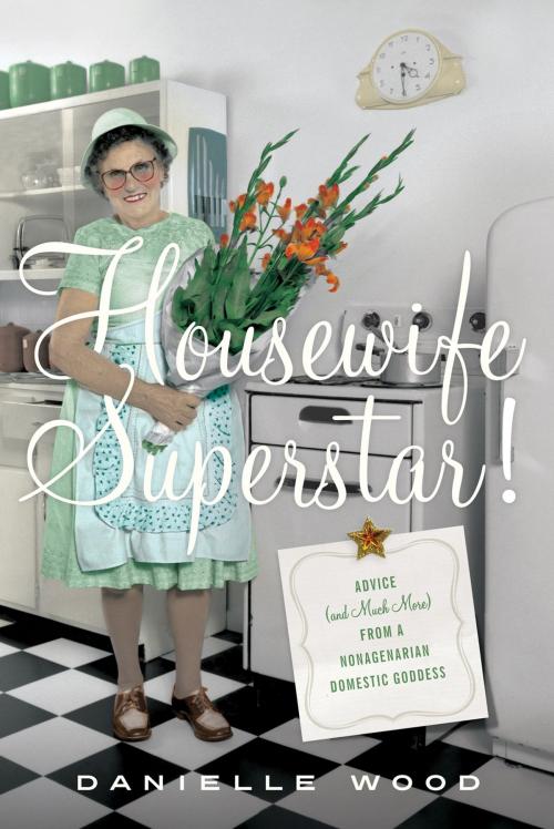 Cover of the book Housewife Superstar! by Danielle Wood, Farrar, Straus and Giroux
