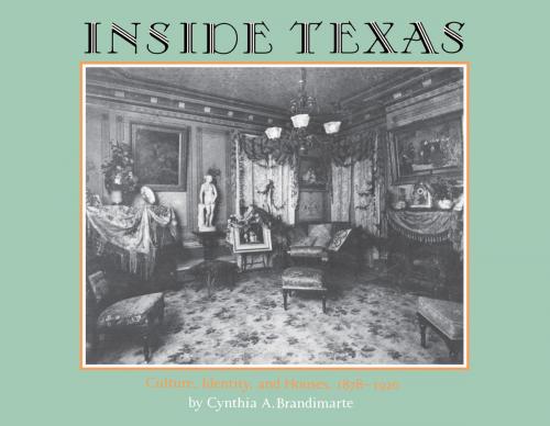 Cover of the book Inside Texas by Cynthia A. Brandimarte, TCU Press